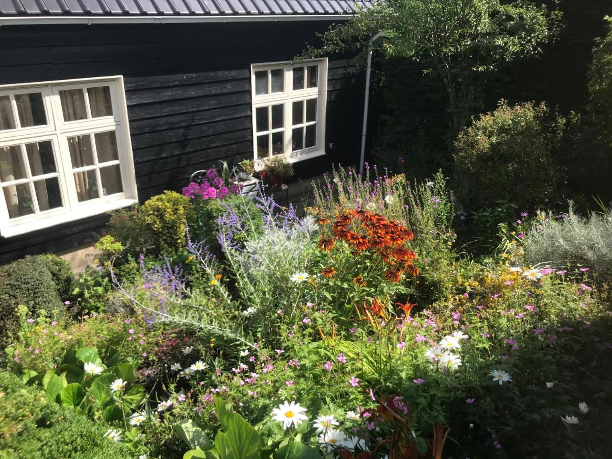 T Huuske Tuinappartement Met Fantastisch Uitzicht, Nabij Zee Zonnemaire Exterior photo