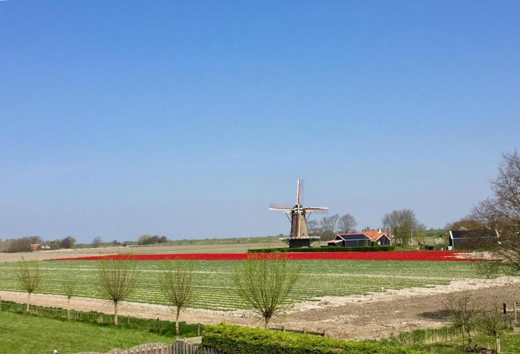 T Huuske Tuinappartement Met Fantastisch Uitzicht, Nabij Zee Zonnemaire Exterior photo