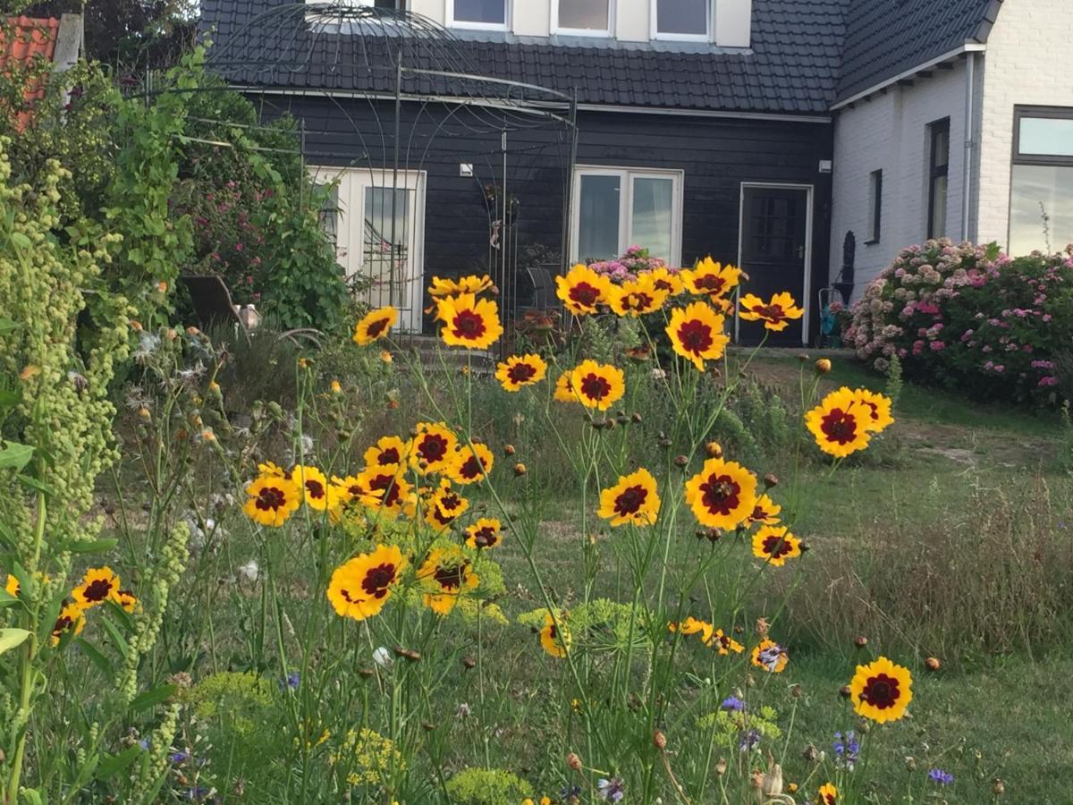 T Huuske Tuinappartement Met Fantastisch Uitzicht, Nabij Zee Zonnemaire Exterior photo