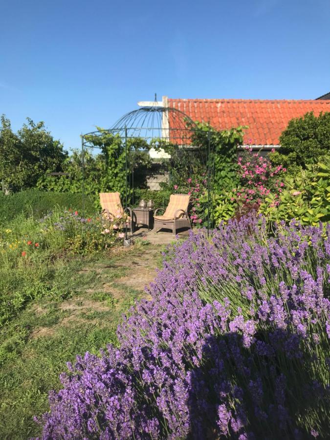 T Huuske Tuinappartement Met Fantastisch Uitzicht, Nabij Zee Zonnemaire Exterior photo